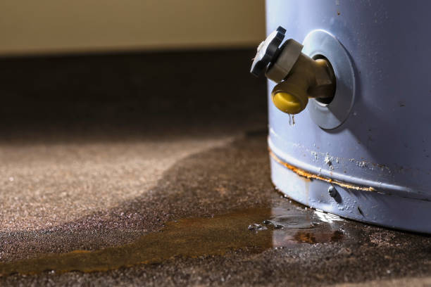 Best Flood damage cleanup  in Derry, PA