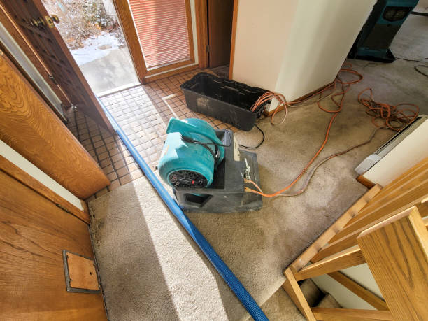 Best Flood damage cleanup  in Derry, PA
