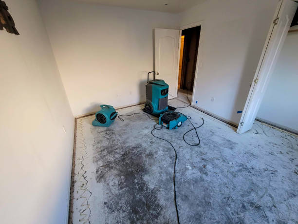 Best Residential water damage restoration  in Derry, PA