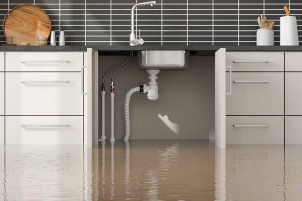 Best Sewage cleanup and water damage restoration  in Derry, PA